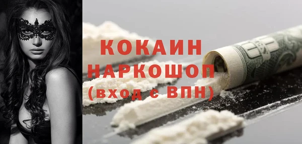 мдпв Лагань