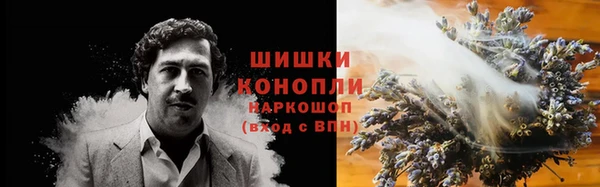 мдпв Лагань