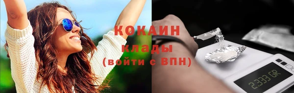 мдпв Лагань