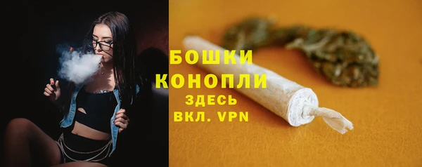 шишки Покров