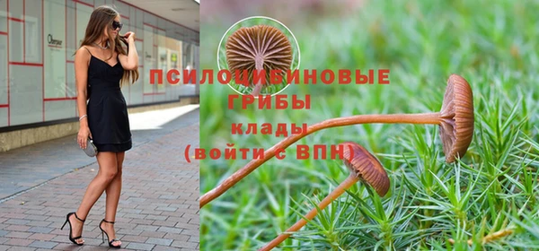 мдпв Лагань
