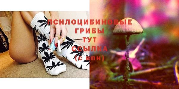 мдпв Лагань