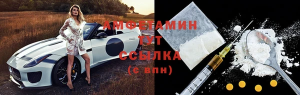 мдпв Лагань