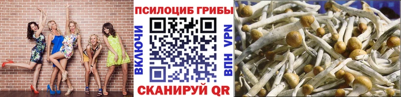 как найти наркотики  Воронеж  Псилоцибиновые грибы Psilocybine cubensis 